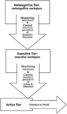 An agency-based model of executive and metacognitive regulation